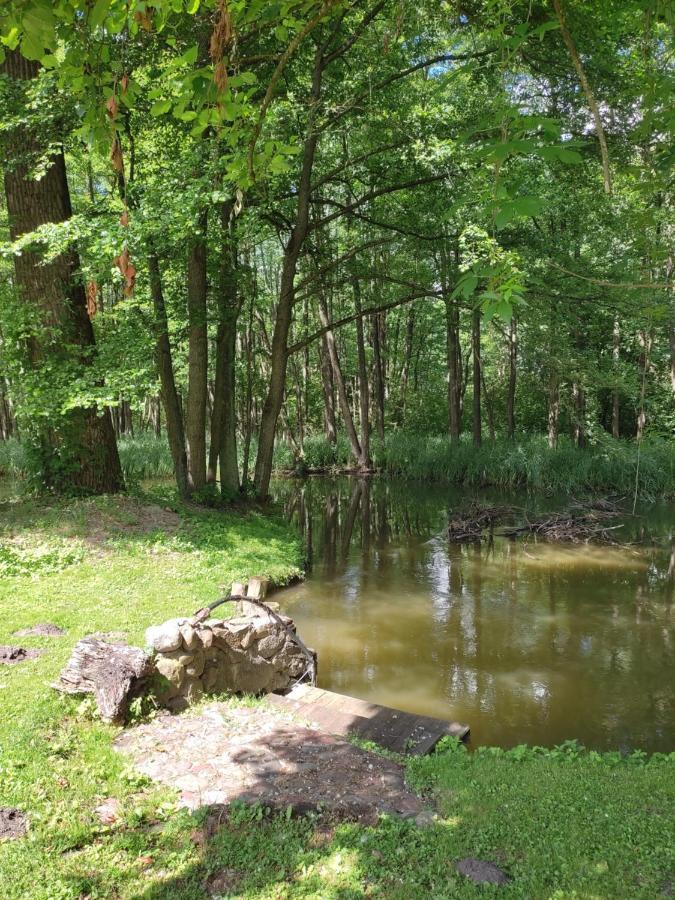 Agroturystyka Kajaki Sauna Pierogi Bakalarzewo المظهر الخارجي الصورة